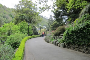 Wellington Botanical Garden